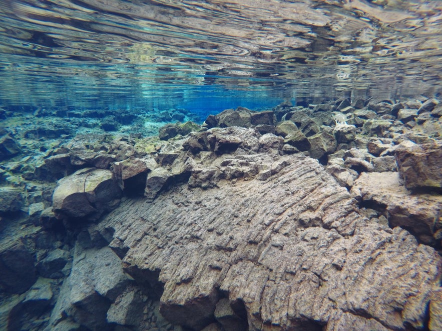 Snorkeling between Continents at the Silfra Fissure