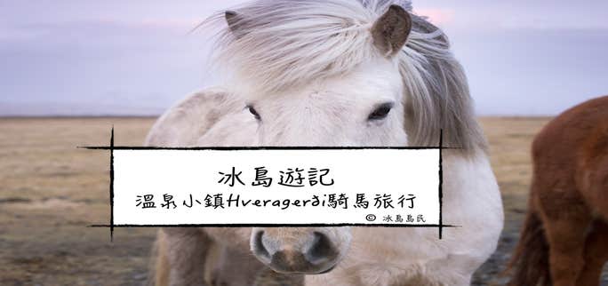 冰島旅行團體驗| 溫泉小鎮Hveragerði騎馬遊記