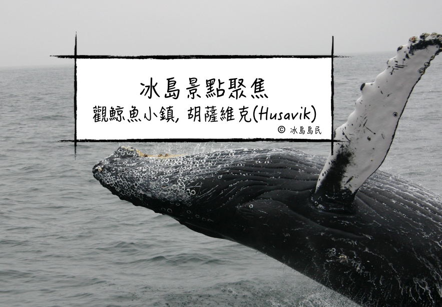 冰島聚焦|觀鯨小鎮胡薩維克, Husavik