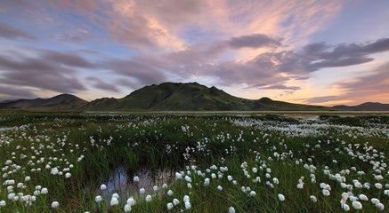 El Primer Día de Verano: una fiesta única en Islandia