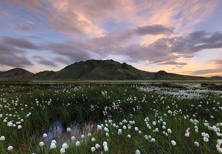 El Primer Día de Verano: una fiesta única en Islandia