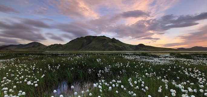 El Primer Día de Verano: una fiesta única en Islandia