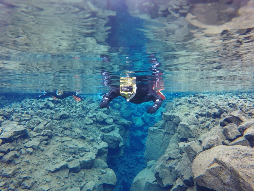 シュノーケリング中の水中写真