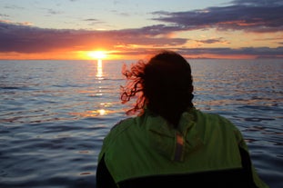 Opplev det vakre landskapet i Faxaflói-bukten på denne fantastiske hvalsafarituren under midnattsolen.