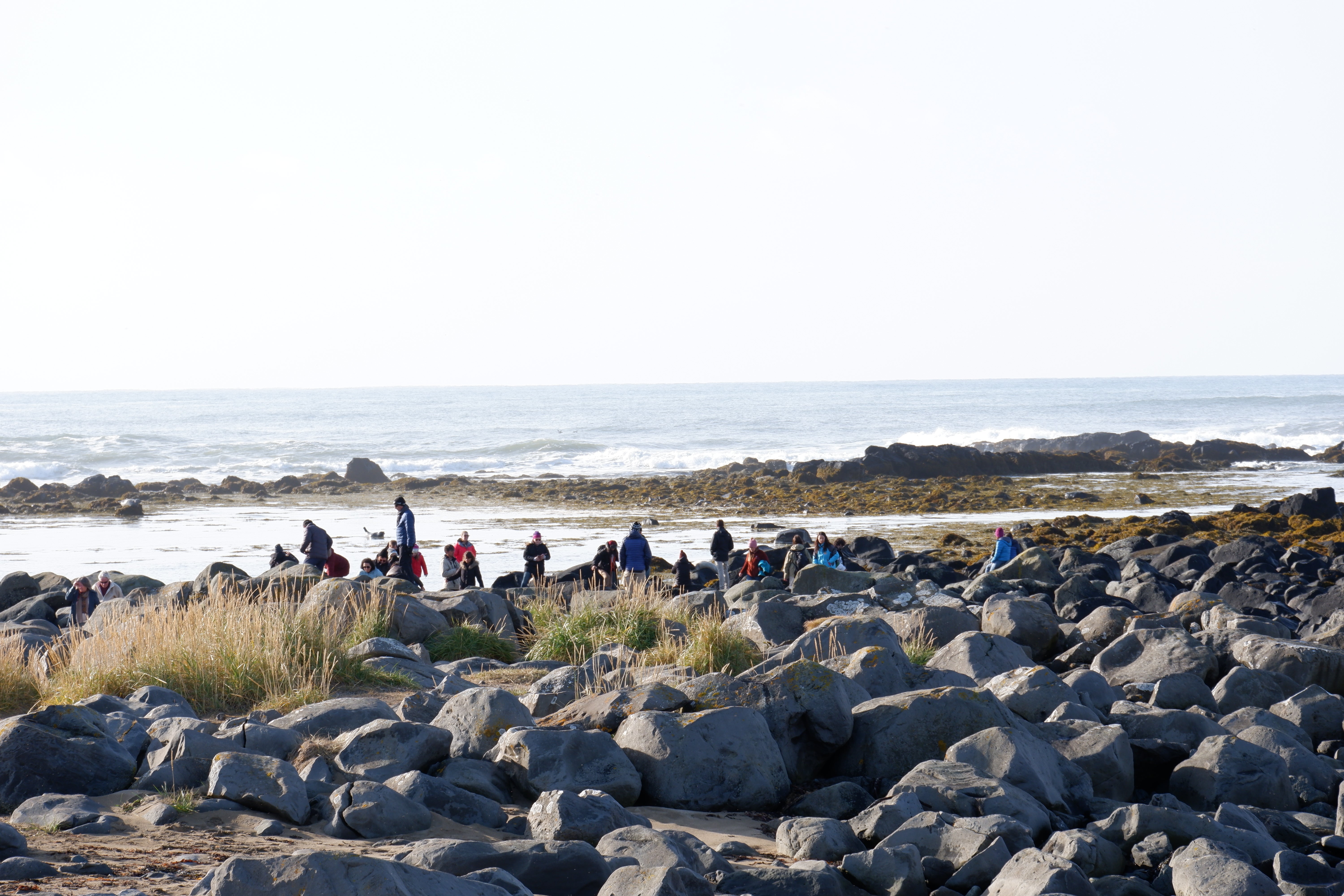 스나이펠스네스 반도 당일 투어 후기 - 아이슬란드의 아름다운 서부! | Guide to Iceland