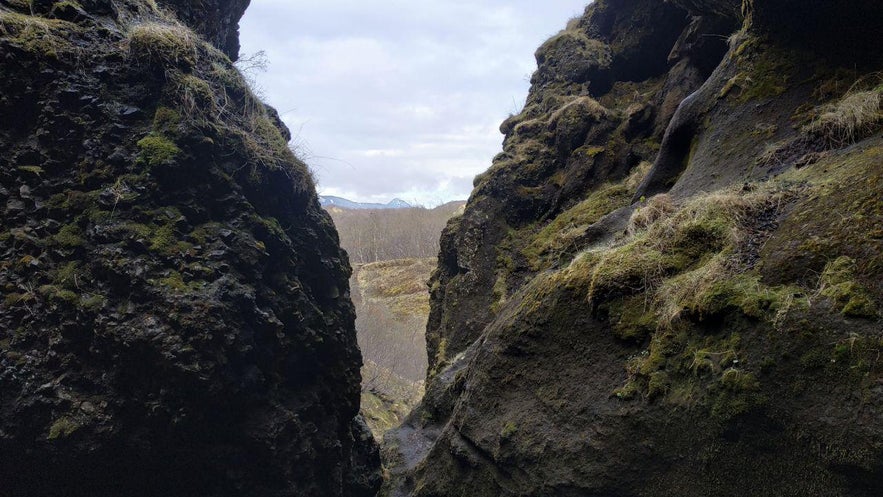 Vistas desde el interior de la cueva