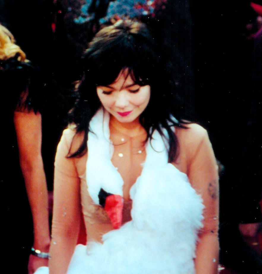 Bjork in Swan dress by Cristiano Del Riccio