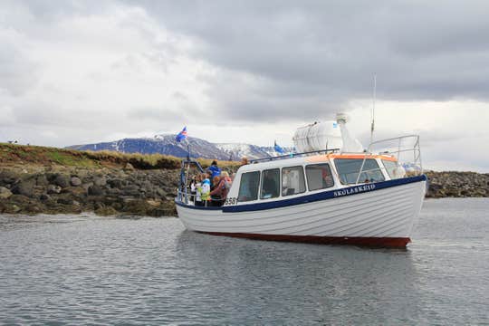 Flexible Whale & Puffin Watching Combo Tour from Reykjavik