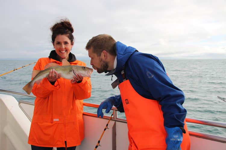 Combination Whale Watching & Sea Fishing Tour with BBQ Meal from Reykjavik