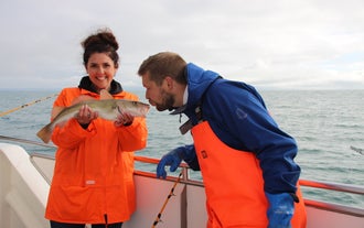 Combination Whale Watching & Sea Fishing Tour with BBQ Meal from Reykjavik