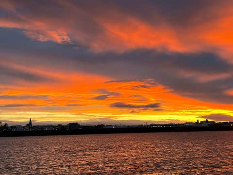 Special 2.5-Hour Midnight Sun Whale Watching Tour from Reykjavik