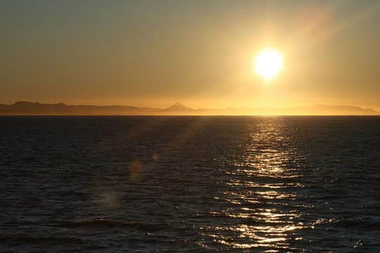 Special 2.5-Hour Midnight Sun Whale Watching Tour from Reykjavik