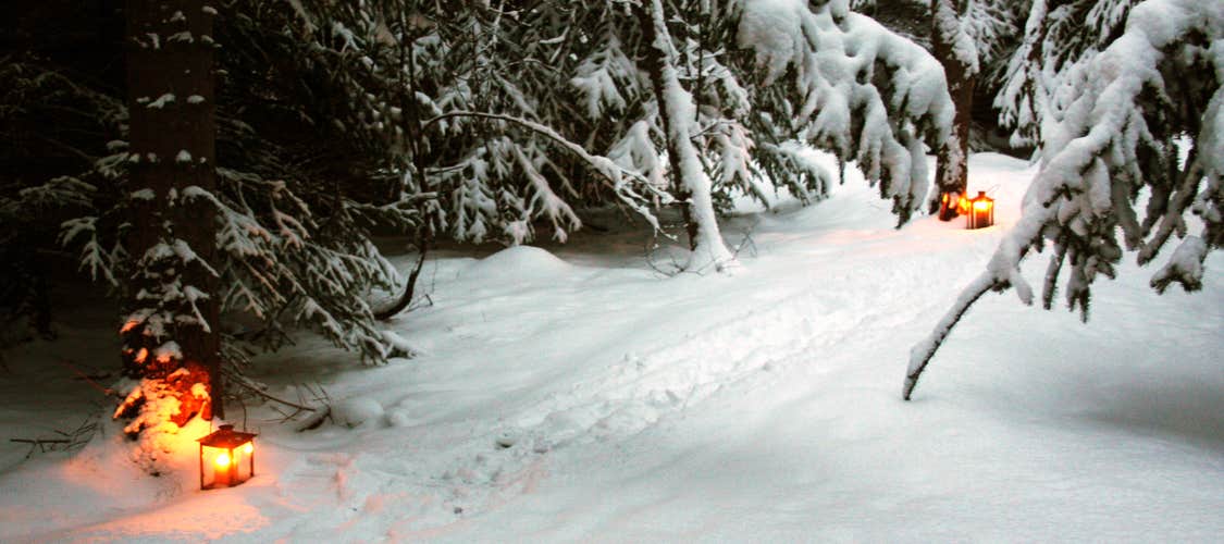 Your expert local tour guide will tell you about the folklore of Icelandic Hidden People as you head into the forest.