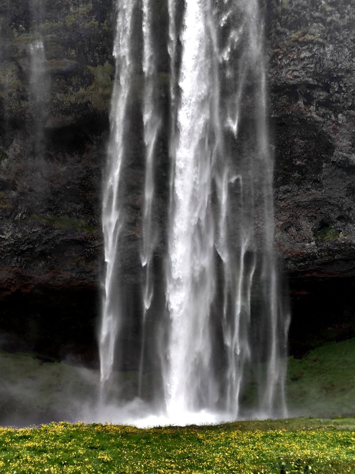 The Seljalandsfoss waterfall lets you walk behind its cascading water.