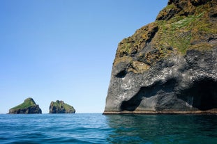 Puoi vedere l'Elephant Rock, nell'isola di Heimaey, solo dal mare.