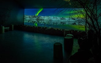 Northern Lights Cruise & Aurora Exhibition from Reykjavik