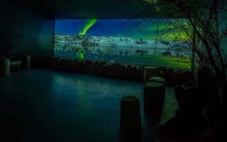 Rejs na zorzę polarną | Wystawa poświęcona Aurorze Borealis
