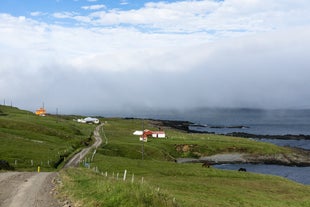 A picturesque coastal landscape of Mjoifjordur in East Iceland with a winding road, green hills, and distant buildings.