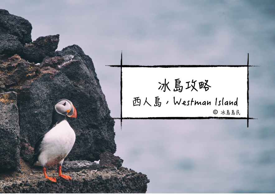 冰島聚焦：西人島(韋斯特曼納群島), Westman Island (Vestmannaeyjar)