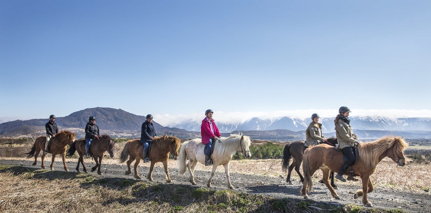 Riding an Icelandic horse is just one of the many extra activities you can add to a guided tour package to enhance your experience