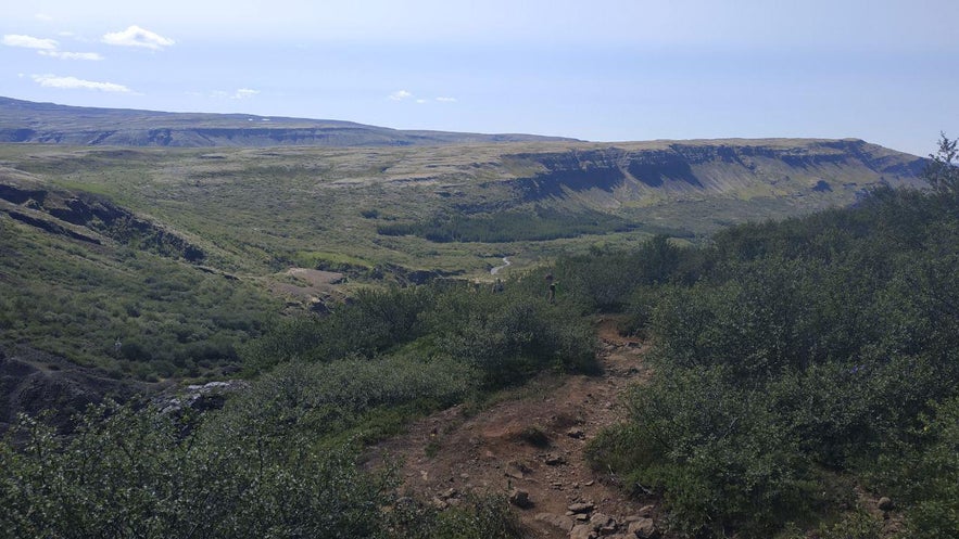 Descenso por un sendero de tierra