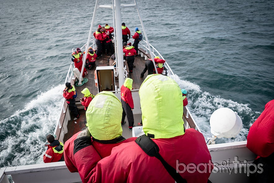 Las atléticas ballenas de Husavík quedarán para siempre fotografiadas en nuestras retinas