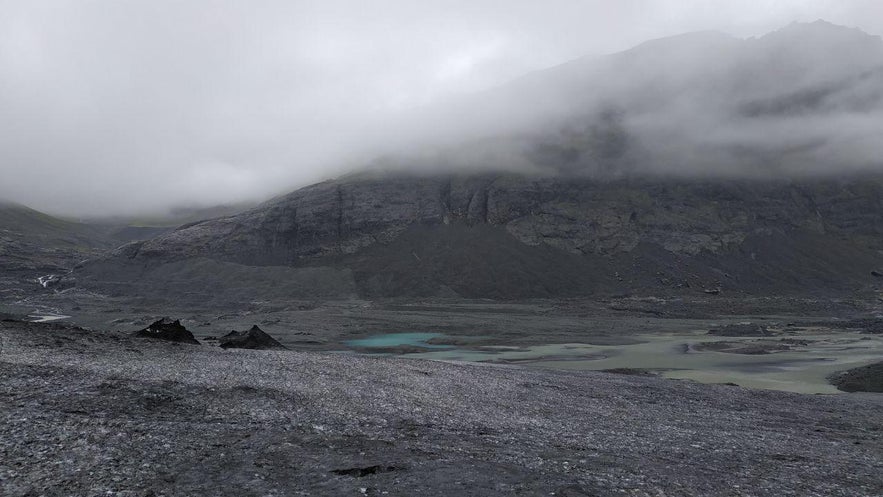 Un toque de color en el oscuro paisaje