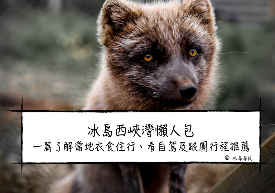 冰島西峽灣自由行懶人包|天氣、交通、住宿、旅遊景點、自駕及跟團行程推薦