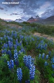 Fáskrúðsfjörður