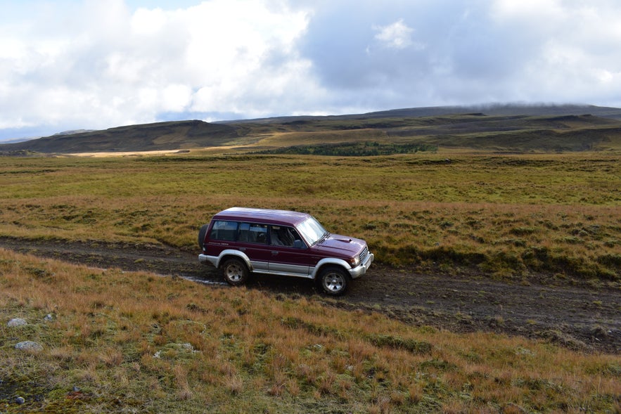 Geländewagen in Südisland beim Schafabtrieb.