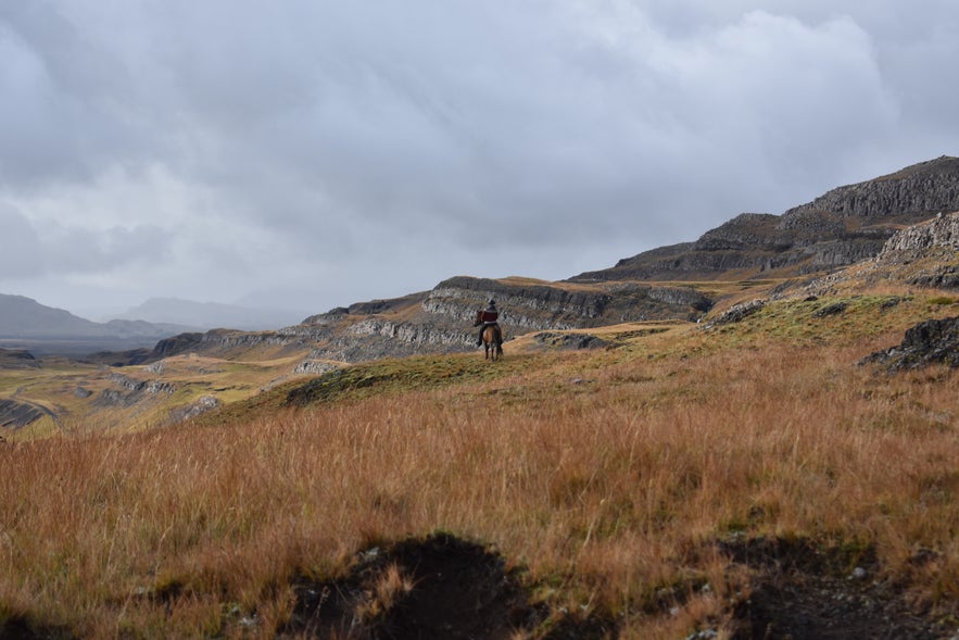 Pferd und Reiter in Berglandschaft in Südisland