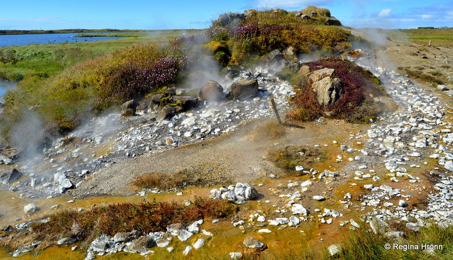 Einireykir hot spring at Reykhólar