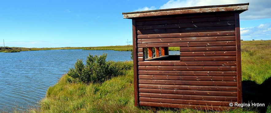 The bird watching hut at Reykhólar