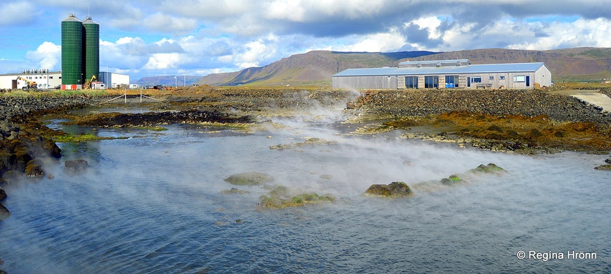 Þörungaverksmiðjan factory at Reykhólar