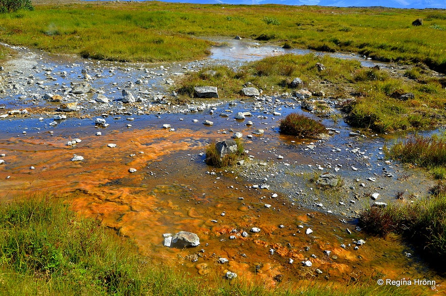 The hot spring area at Reykhólar