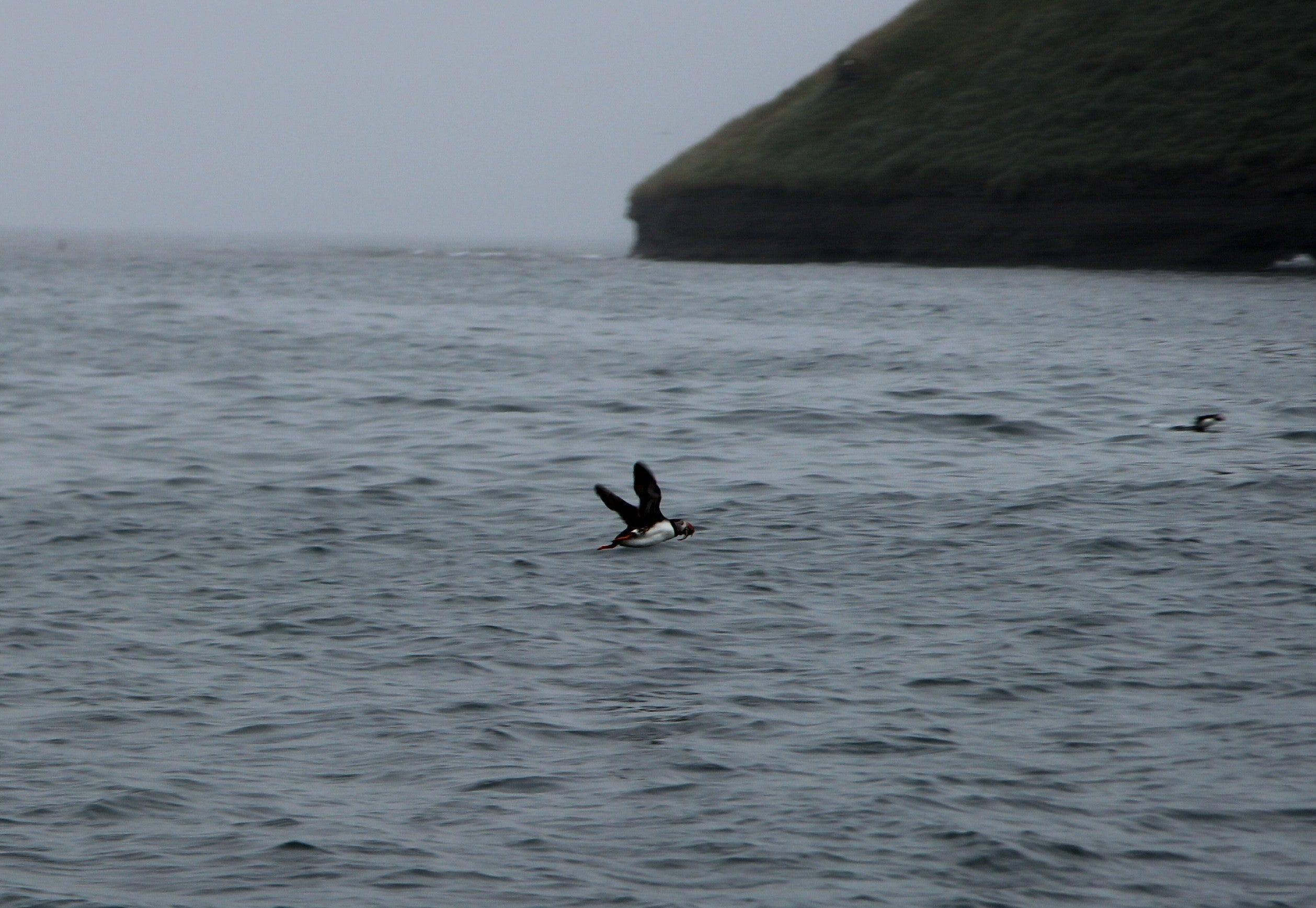 Мария Попова