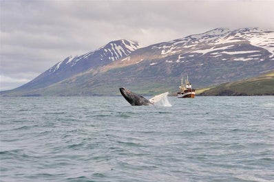 Reykjavik has a number of cultural attractions to fill your last day in Iceland.