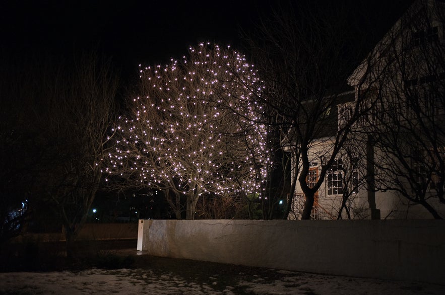 Iceland's Christmas Trees of Light