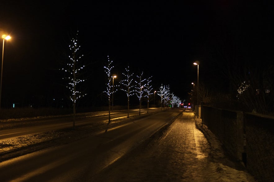 Iceland's Christmas Trees of Light