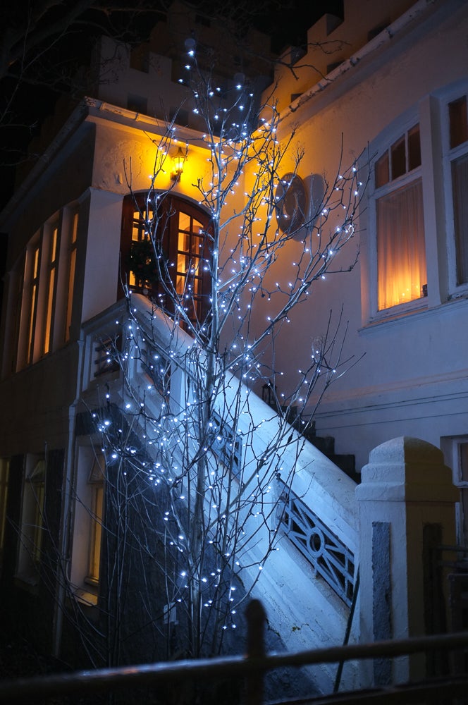 Iceland's Christmas Trees of Light