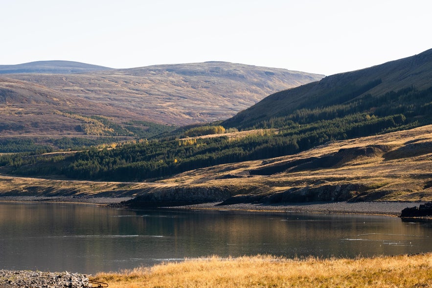 Herbst am Hvalfjördur