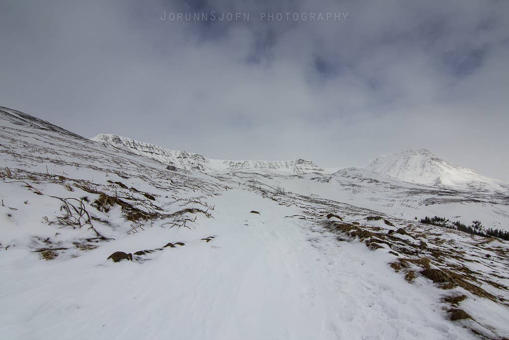 Mount Esja Hiking And Outdoor Area