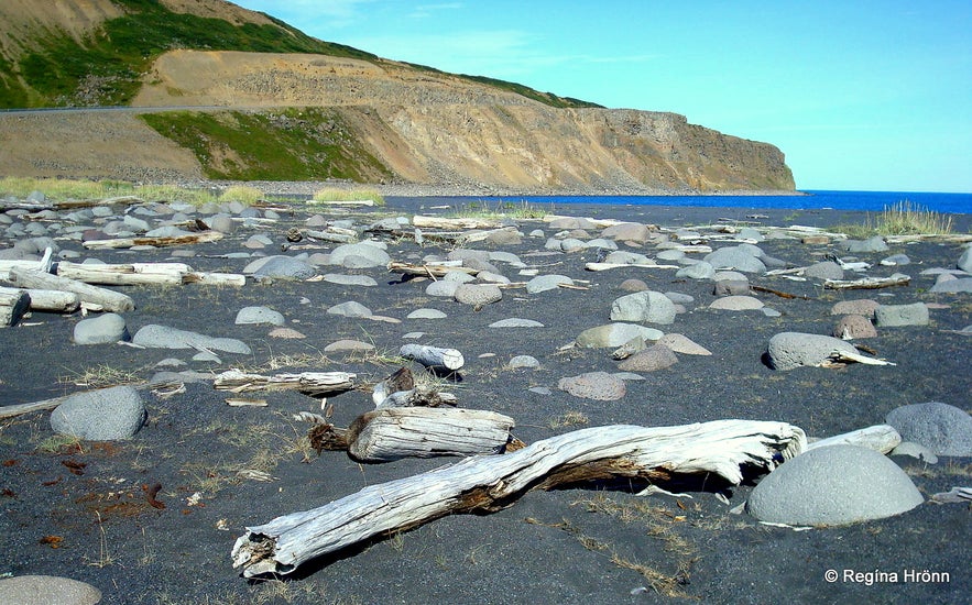 Driftwood on Fjallahöfn beach Driftwood on Fjallahöfn beach