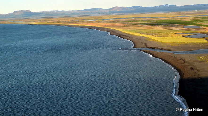 A breathtaking View from Hringsbjarg Cliff on Tjörnes Peninsula in North-Iceland