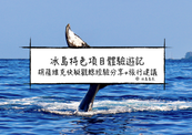 冰島旅行團體驗| 胡薩維克快艇觀鯨