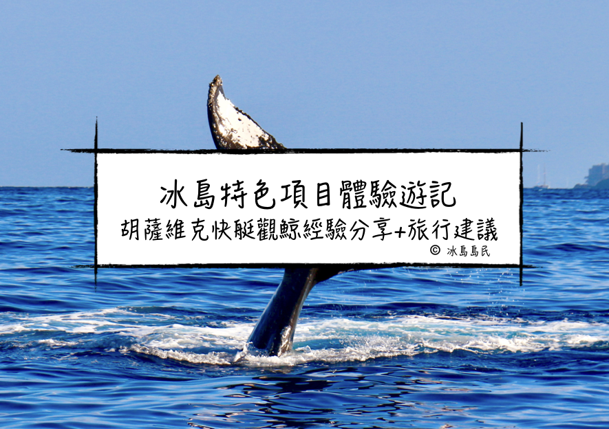 冰島旅行團體驗| 胡薩維克快艇觀鯨