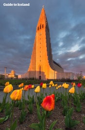 Hallgrimskirkja badar i varmt sommarljus.