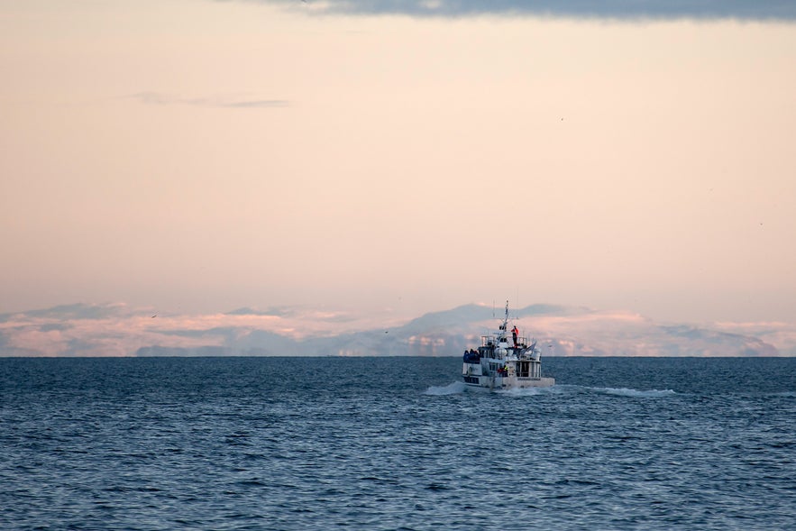 Whale watching at sea in GrundarfjÃ¶rÃ°ur fjord