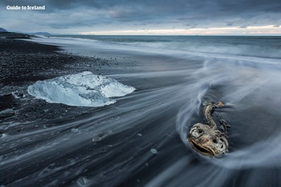 古老的冰块停在冰岛杰古沙龙冰河湖(Jökulsárlón)旁边的钻石黑沙滩上