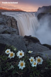 The waterfall Dettifoss is credited as Europe's most powerful falls, and its rumbling can be heard miles away.